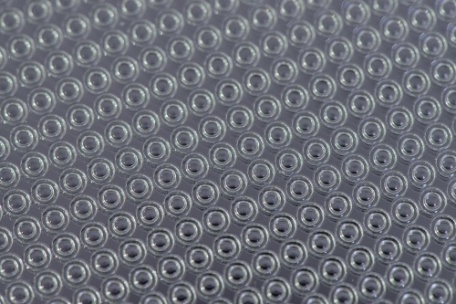 EVG770 NT002.jpg