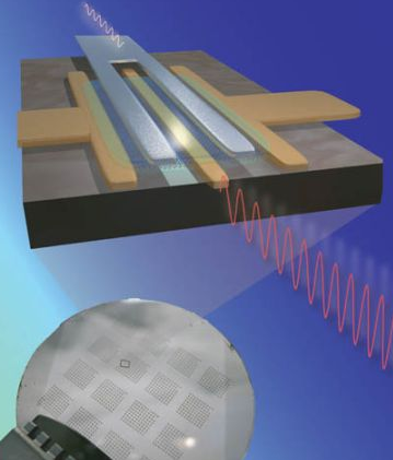 CarbonSemi Graphic_07.png