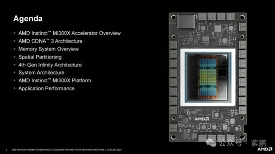 AMD-1.png