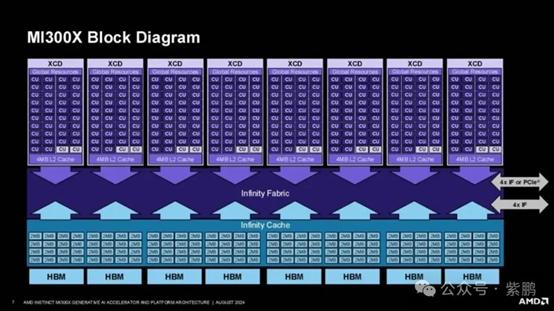 AMD-6.png
