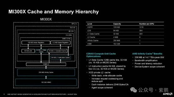 AMD-7.png