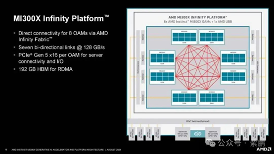 AMD-12.png
