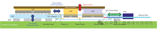 IEEE-3.png